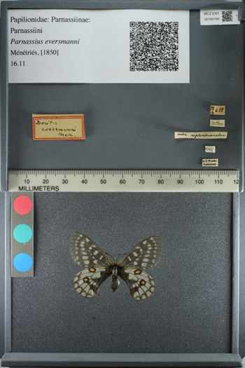 Media type: image;   Entomology 180180